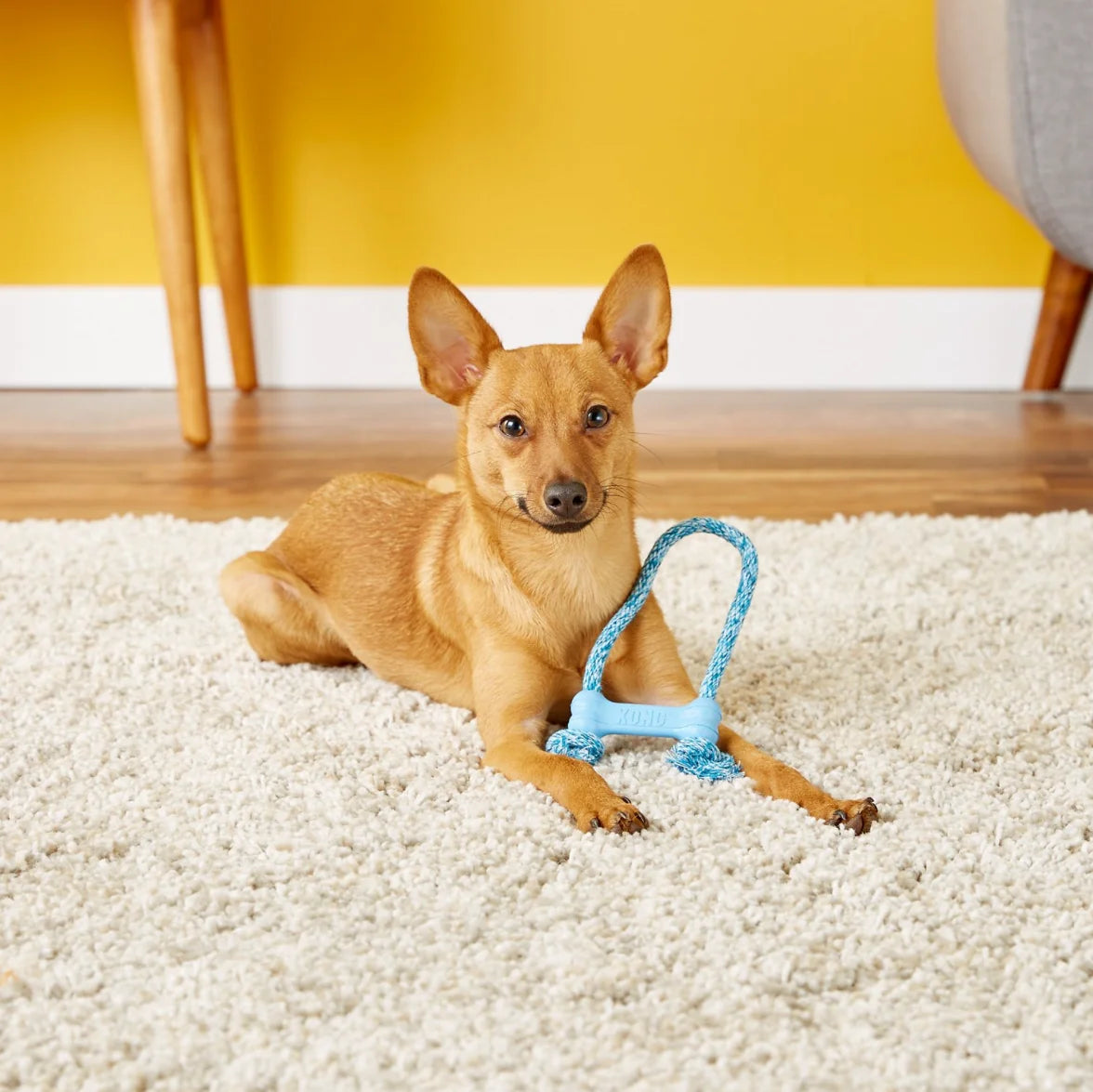 KONG® Goodie Bone with Rope – Durable Rubber Chew Toy for Puppies & Small Dogs