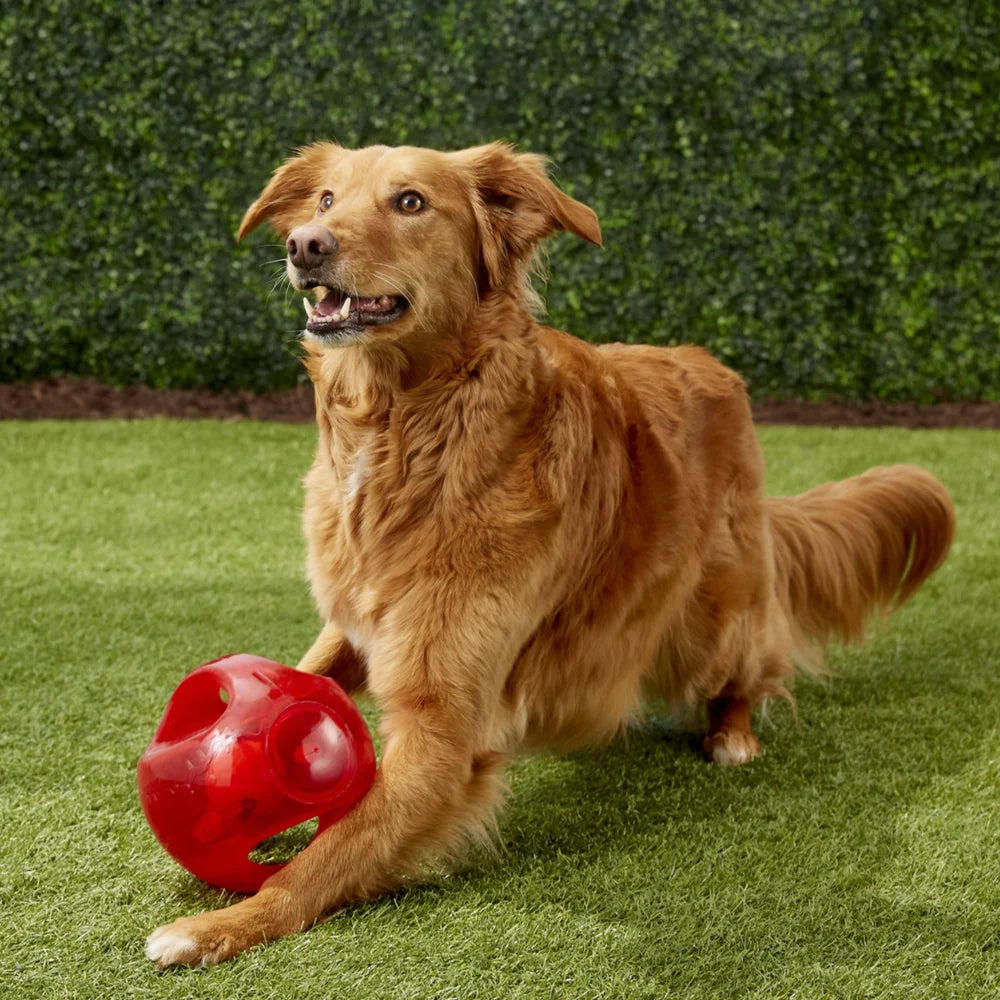 KONG® Jumbler Ball / Football Dog Toy