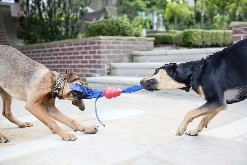 KONG® Classic Tails  - Tug, Toss & Squeak Power Toy
