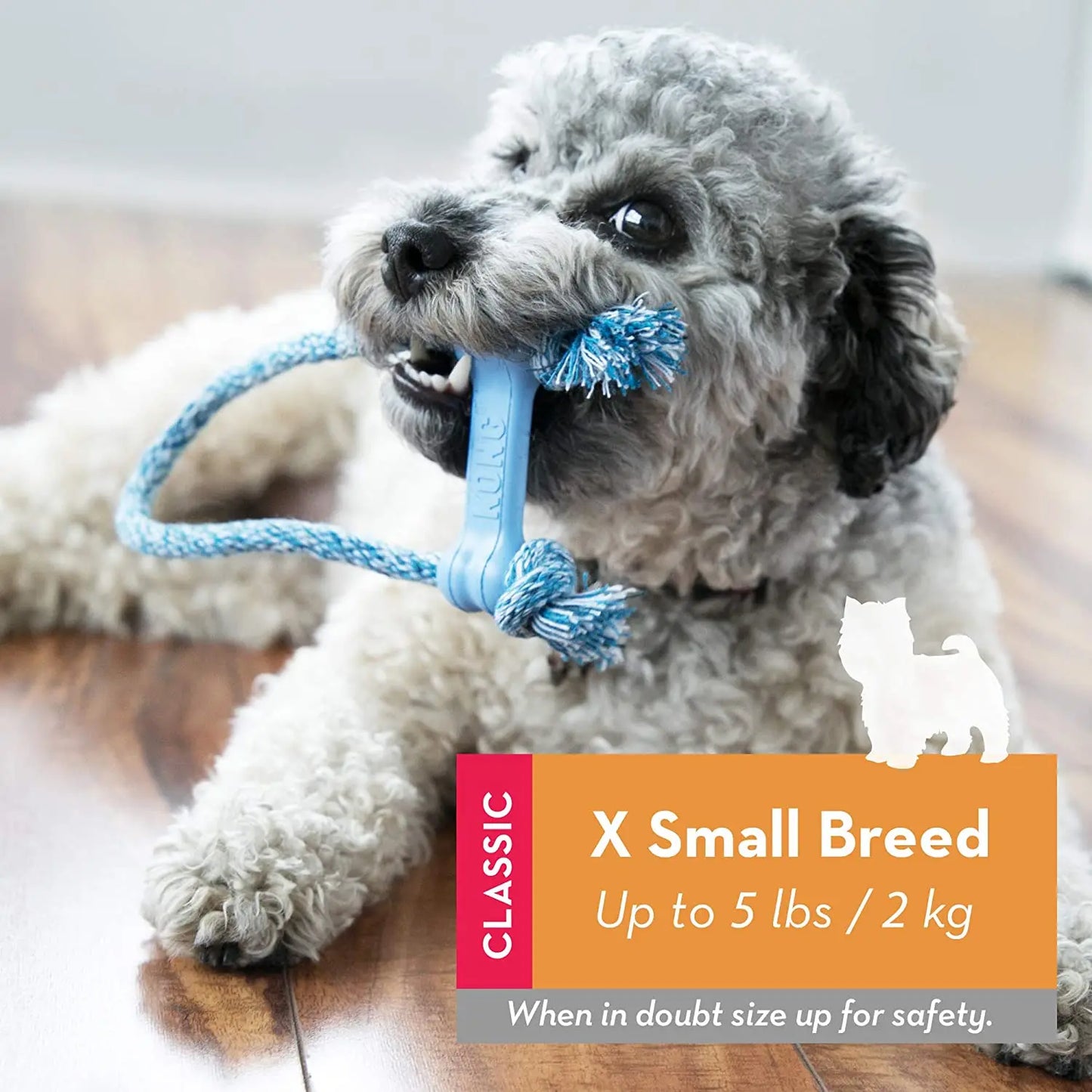 KONG® Goodie Bone with Rope – Durable Rubber Chew Toy for Puppies & Small Dogs