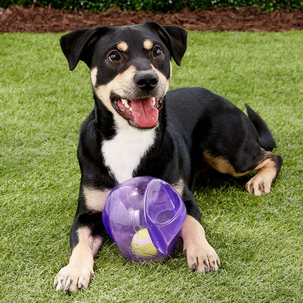 KONG® Jumbler Ball / Football Dog Toy