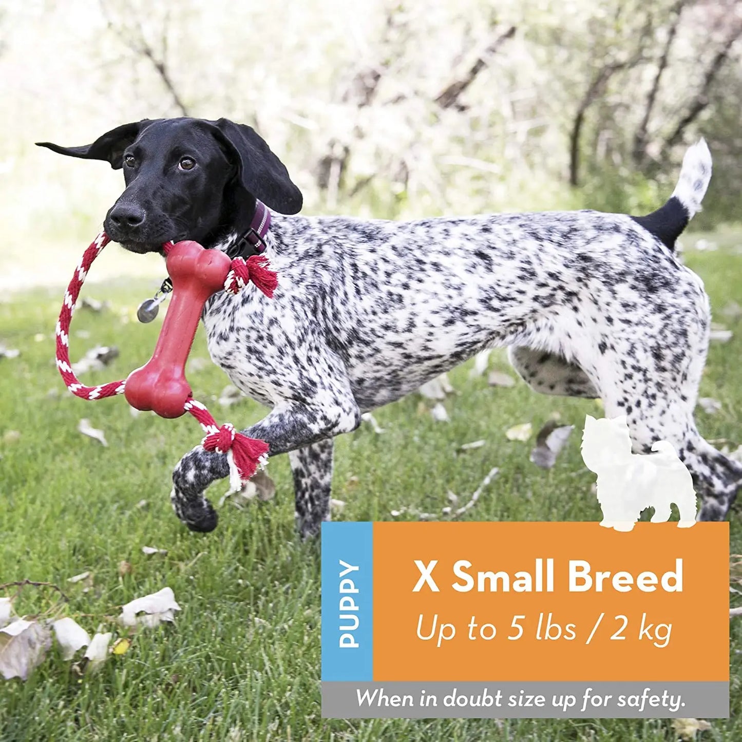 KONG® Goodie Bone with Rope – Durable Rubber Chew Toy for Puppies & Small Dogs