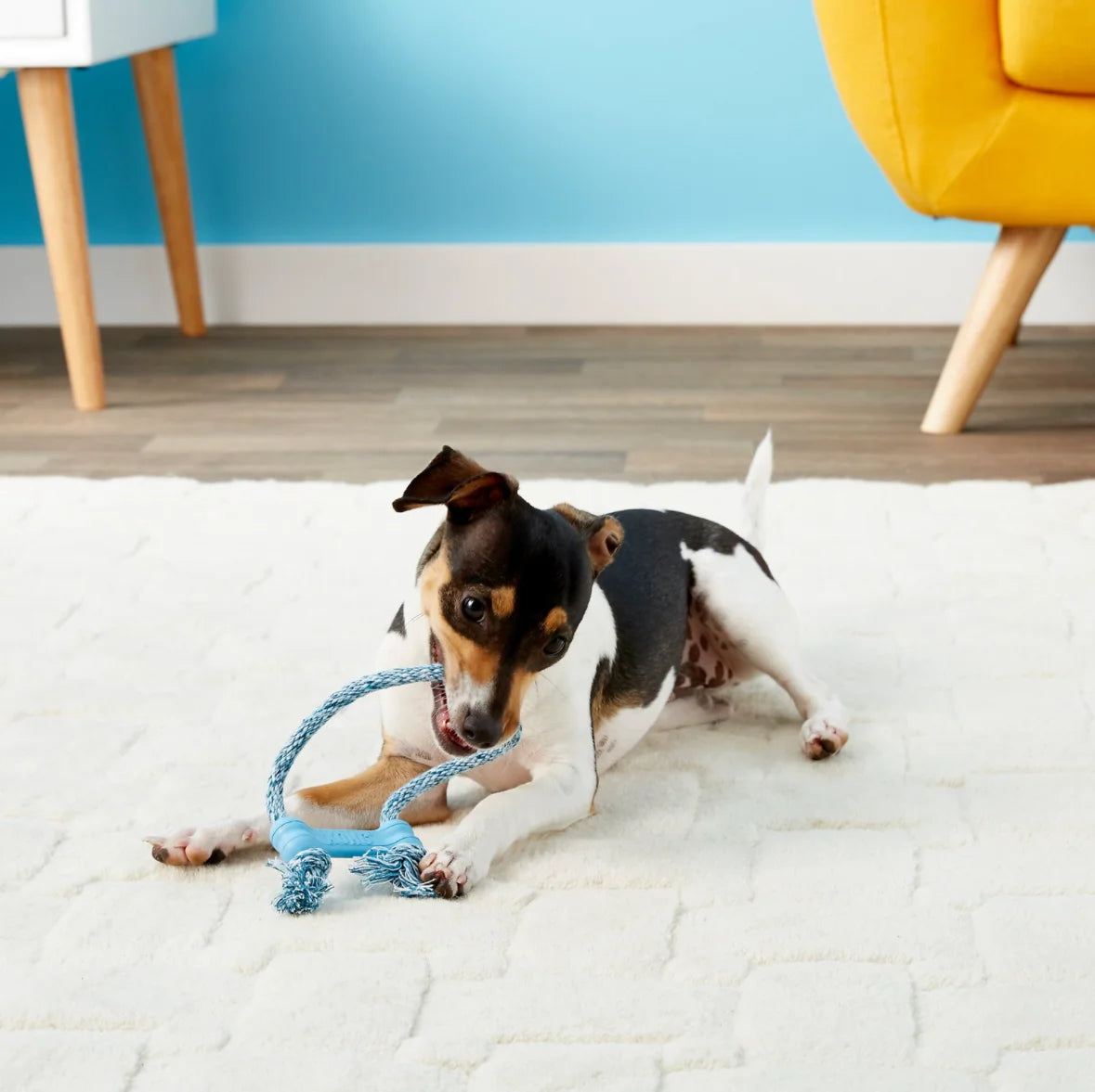 KONG® Goodie Bone with Rope – Durable Rubber Chew Toy for Puppies & Small Dogs