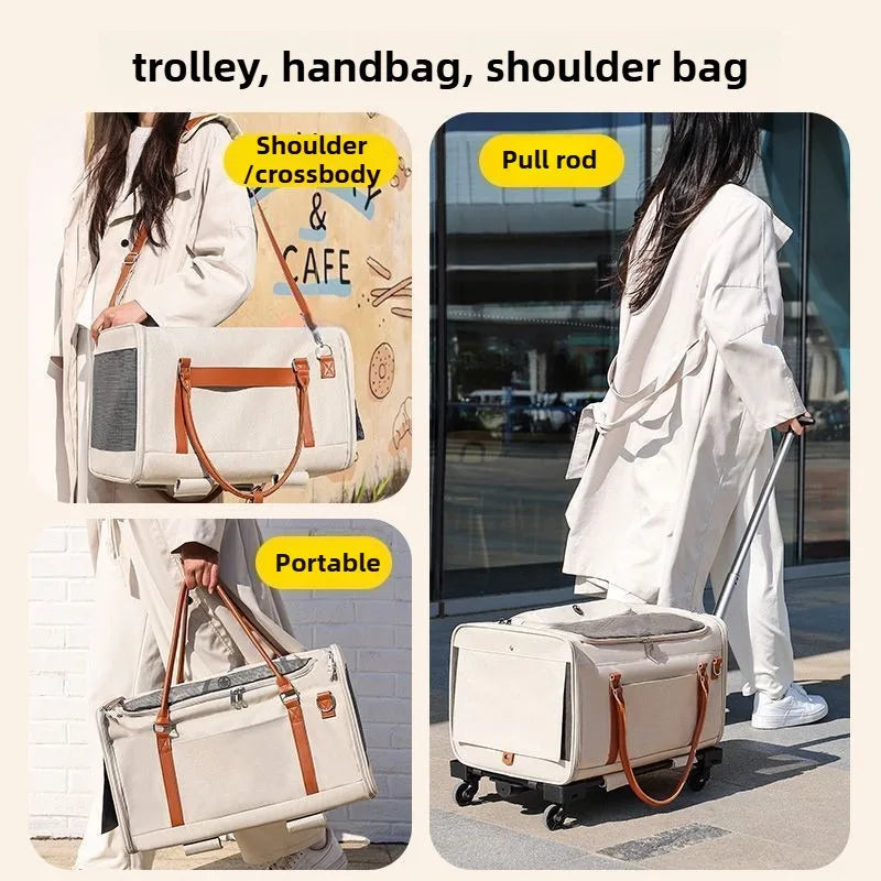 2-in-1 Pet Trolley Carrier & Backpack | Foldable Cat & Dog Travel Bag