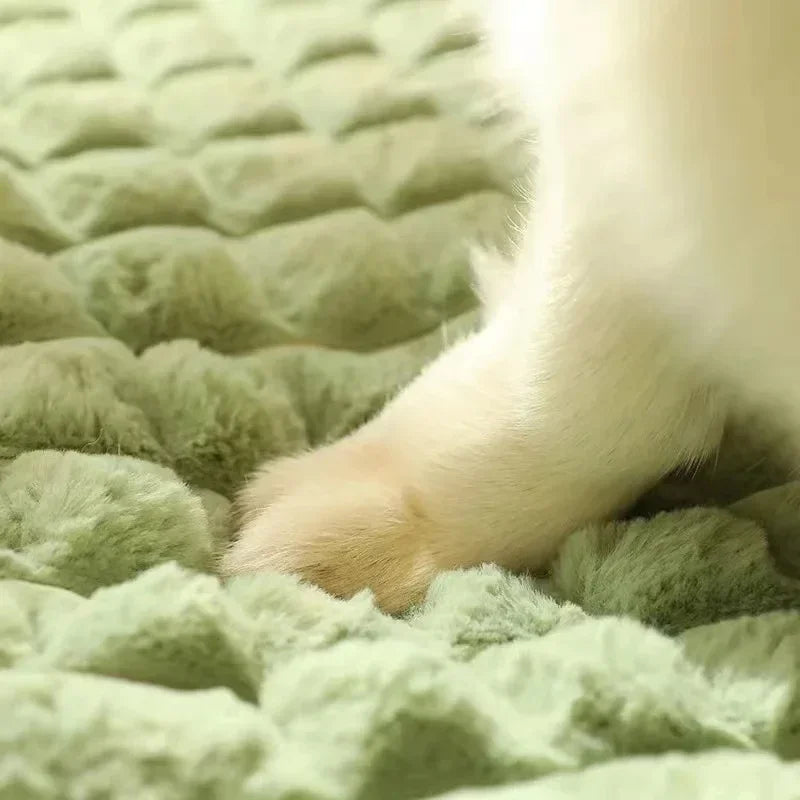 Orthopaedic Memory Foam Dog Bed | Washable Cushion for Pets UK