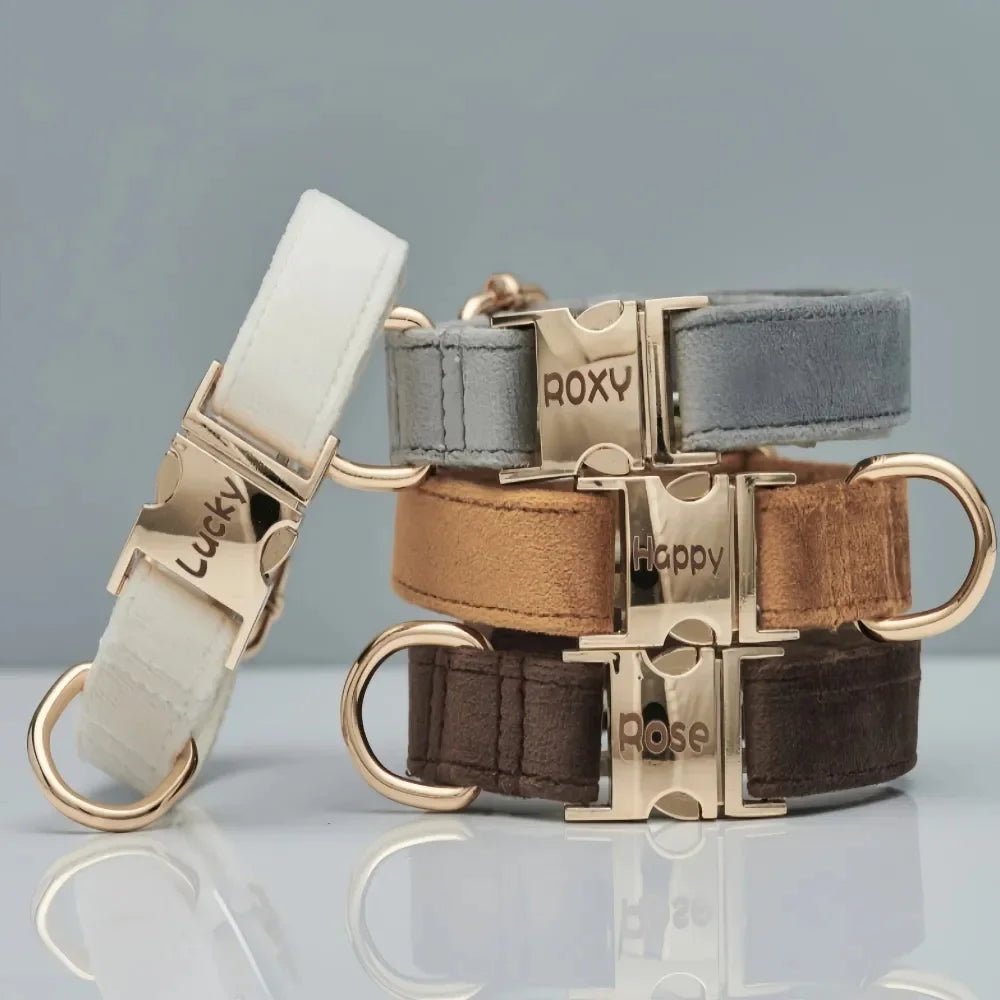 Velvet Luxe™ – Custom Engraved Premium Dog Collar | Soft, Adjustable, Wedding & Gift Edition