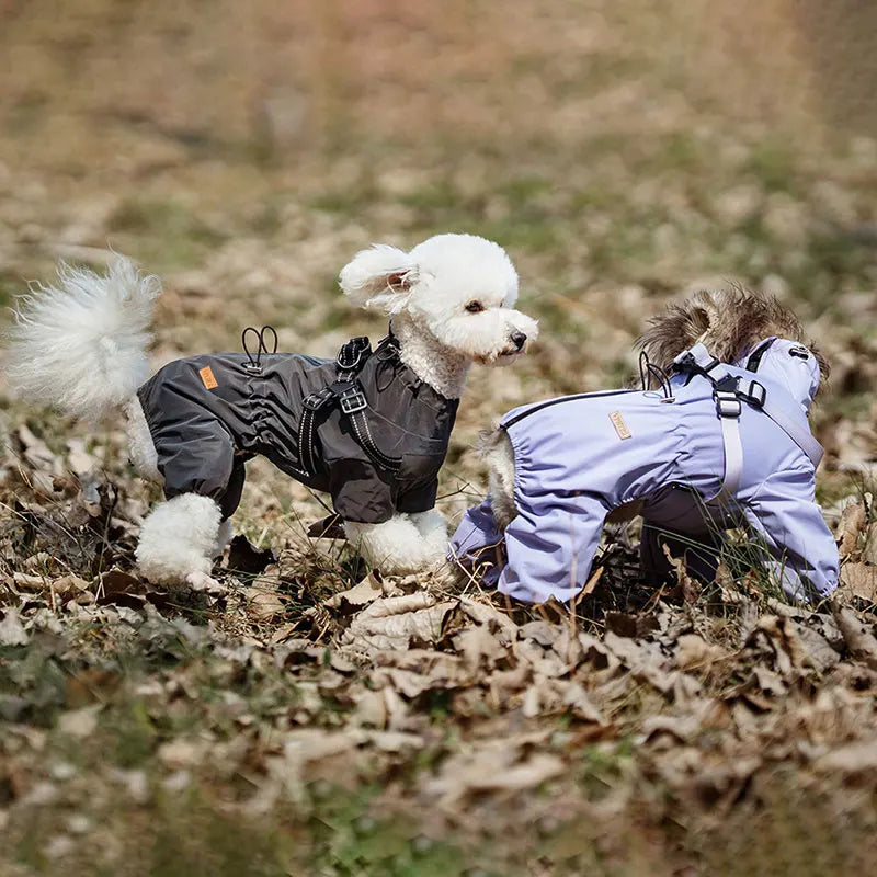 Waterproof Dog Raincoat with Harness | Reflective & Adjustable Dog Jacket