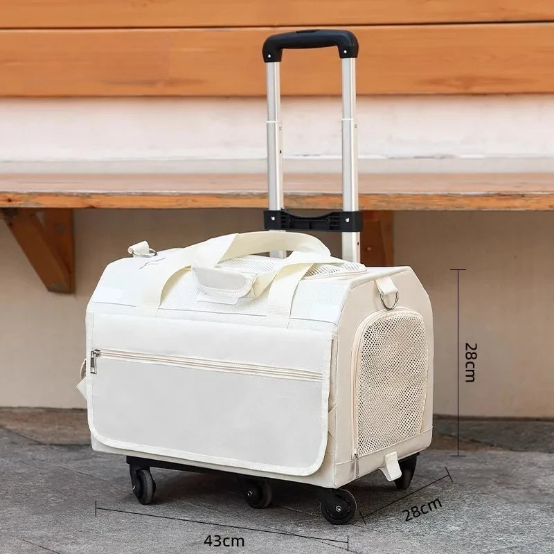 Double Decker Cat Carrier