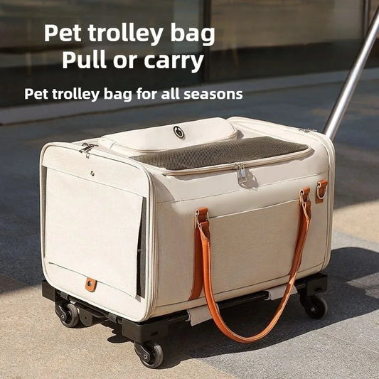 2-in-1 Pet Trolley Carrier & Backpack | Foldable Cat & Dog Travel Bag