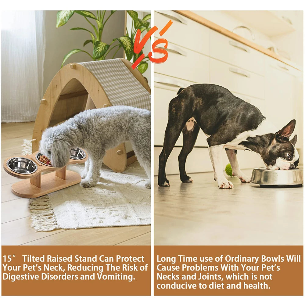 Raised Cat Feeder – 3-in-1 Elevated Feeding Station with 15° Tilt