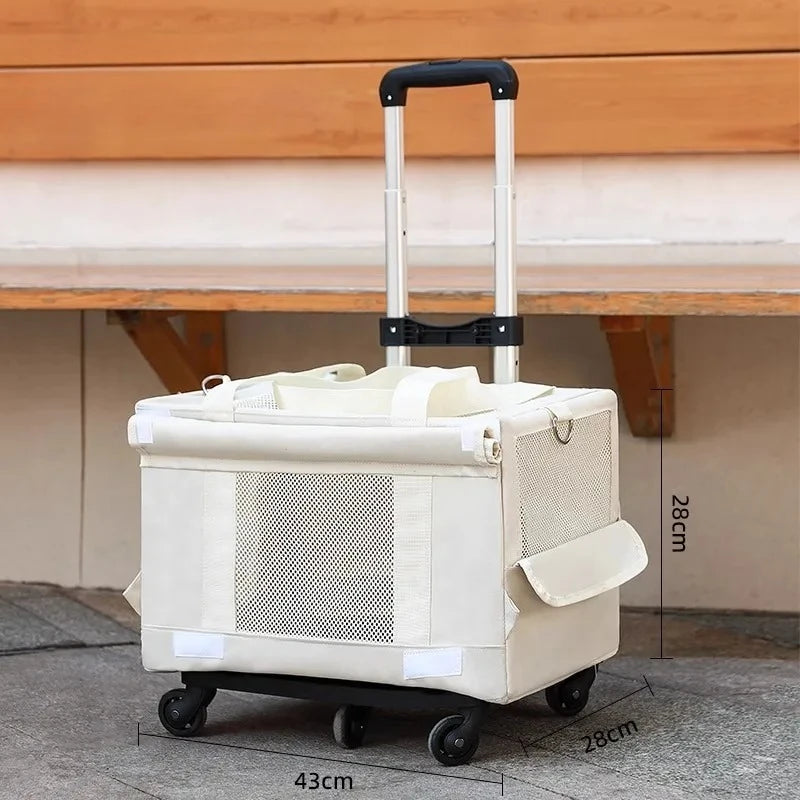 Double Decker Cat Carrier