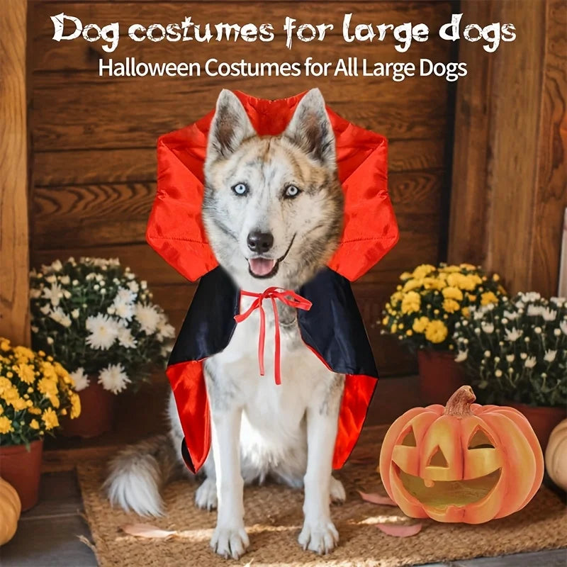 Vampire Pet Cape | Halloween Costume for Dogs & Cats UK