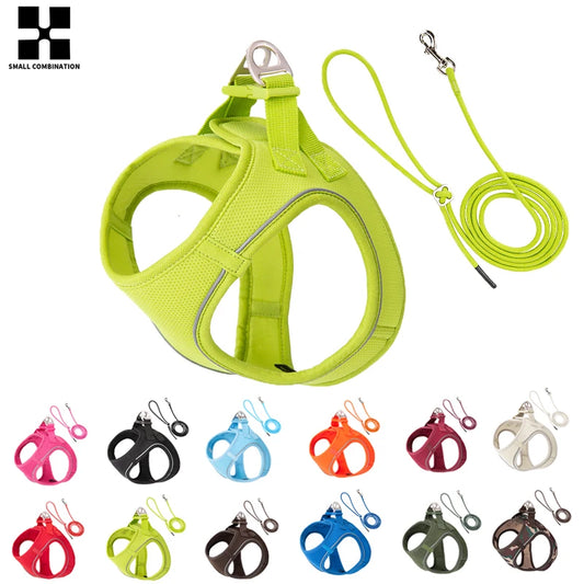 AirMesh+™ Reflective Dog Harness & Leash Set | Adjustable, Breathable, No-Pull Vest for Small & Medium Pets