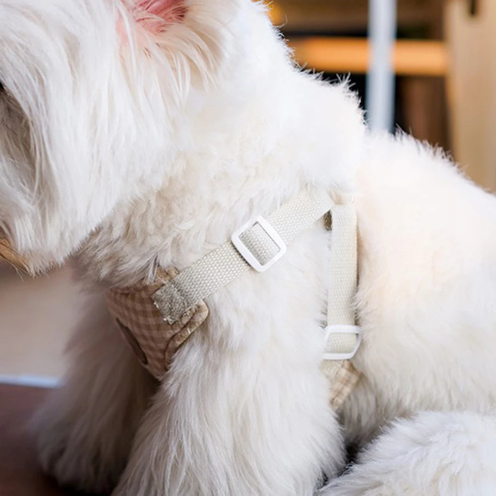 TeddyBear™ Harness & Leash Set – Soft Adjustable Dog & Cat Vest for Small Pets
