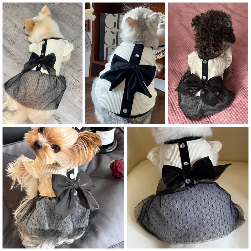 Luxury Dog Dress | Elegant Bow Lace Pet Outfit for Small Dogs