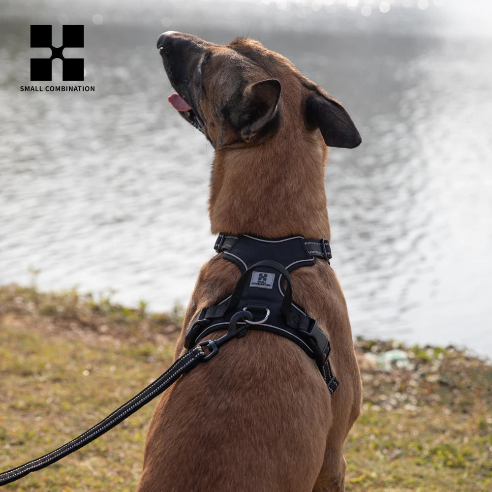 TrekFit™ – No-Pull Reflective Dog Harness | Adjustable & Padded for All Breeds