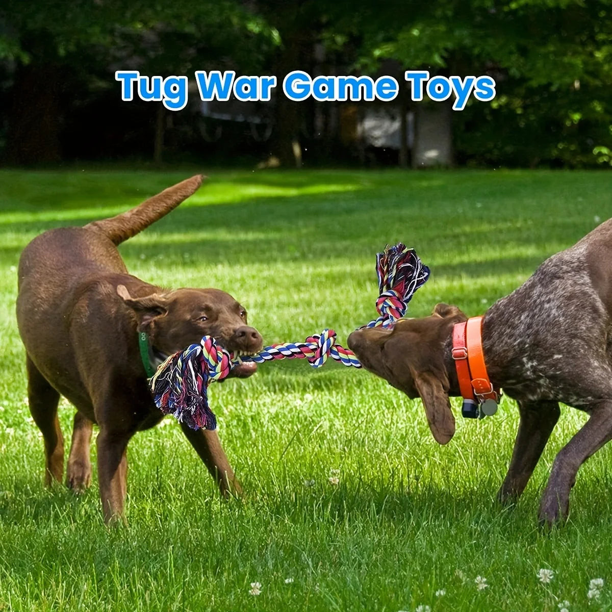 TugPro™ – Indestructible Rope Toy for Powerful Chewers