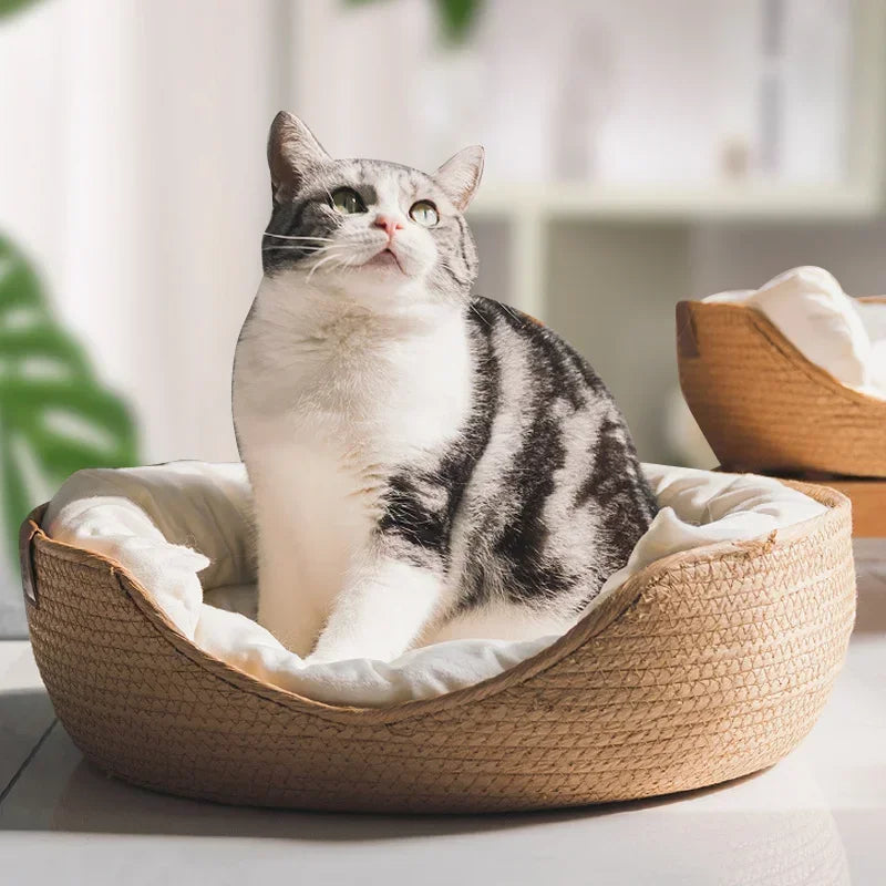 Hand-Woven Natural Pet Bed – Cosy Cat & Small Dog Basket with Removable Cushion