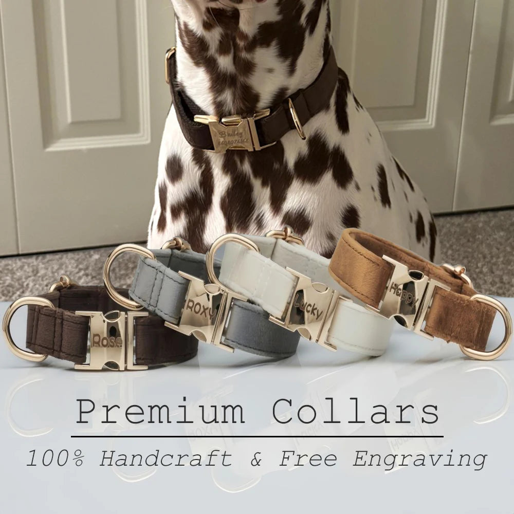 Velvet Luxe™ – Custom Engraved Premium Dog Collar | Soft, Adjustable, Wedding & Gift Edition