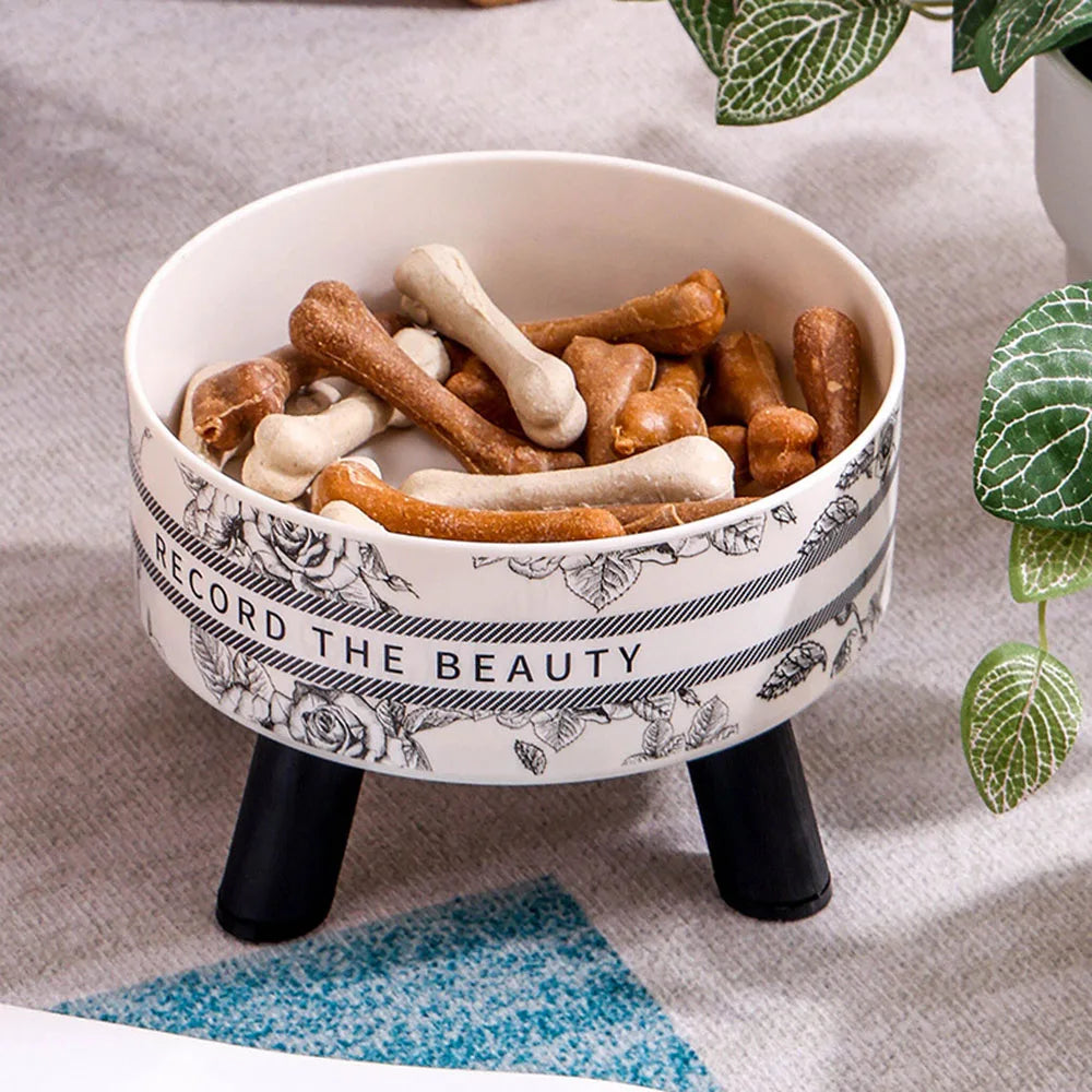 ElevateBowl – Modern Raised Pet Bowl | Stainless Steel Feeder for Cats & Dogs