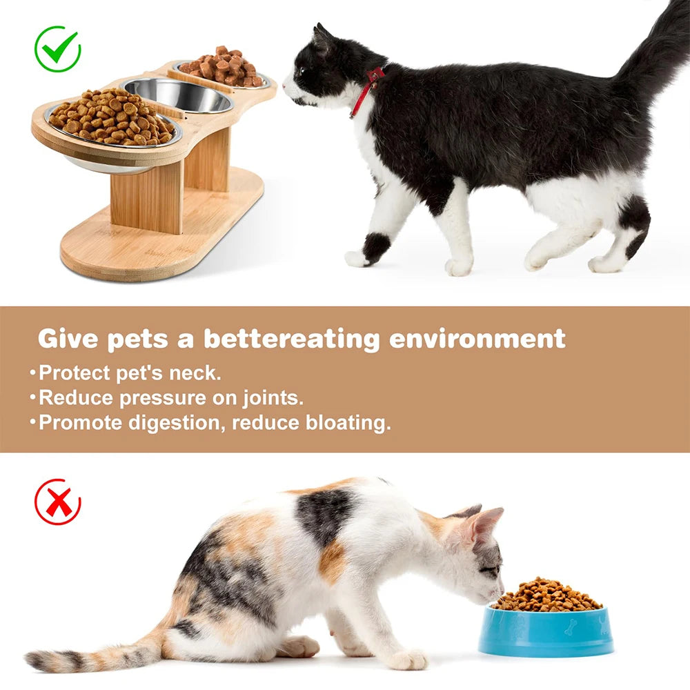 Raised Cat Feeder – 3-in-1 Elevated Feeding Station with 15° Tilt
