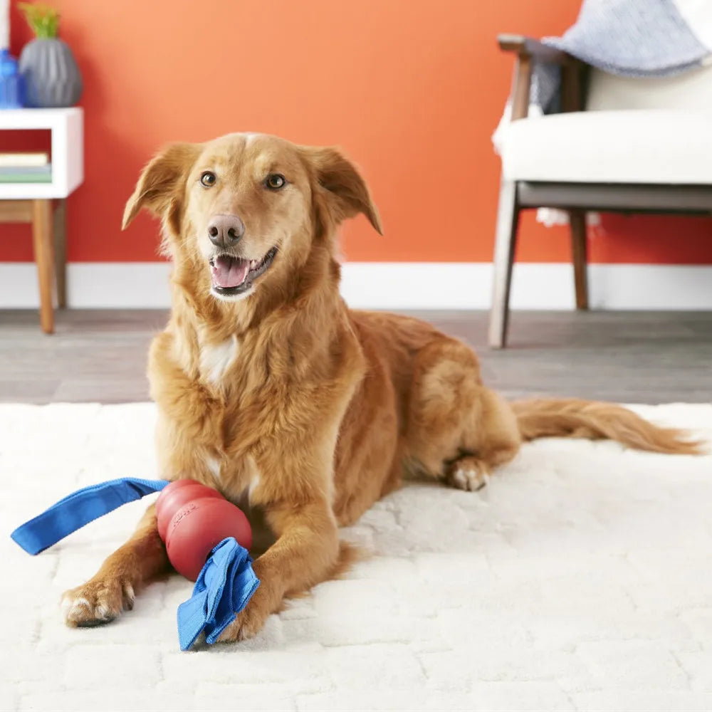KONG® Classic Tails  - Tug, Toss & Squeak Power Toy