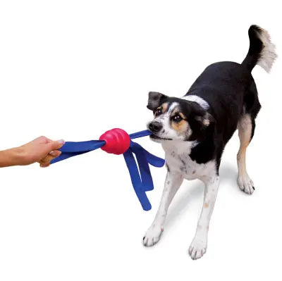 KONG® Classic Tails  - Tug, Toss & Squeak Power Toy