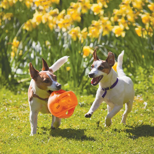 KONG® Jumbler Ball / Football Dog Toy