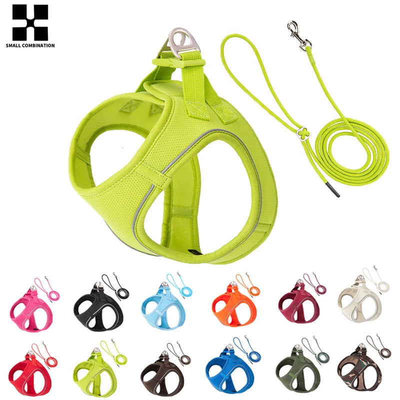 AirMesh+™ Reflective Dog Harness & Leash Set | Adjustable, Breathable, No-Pull Vest for Small & Medium Pets