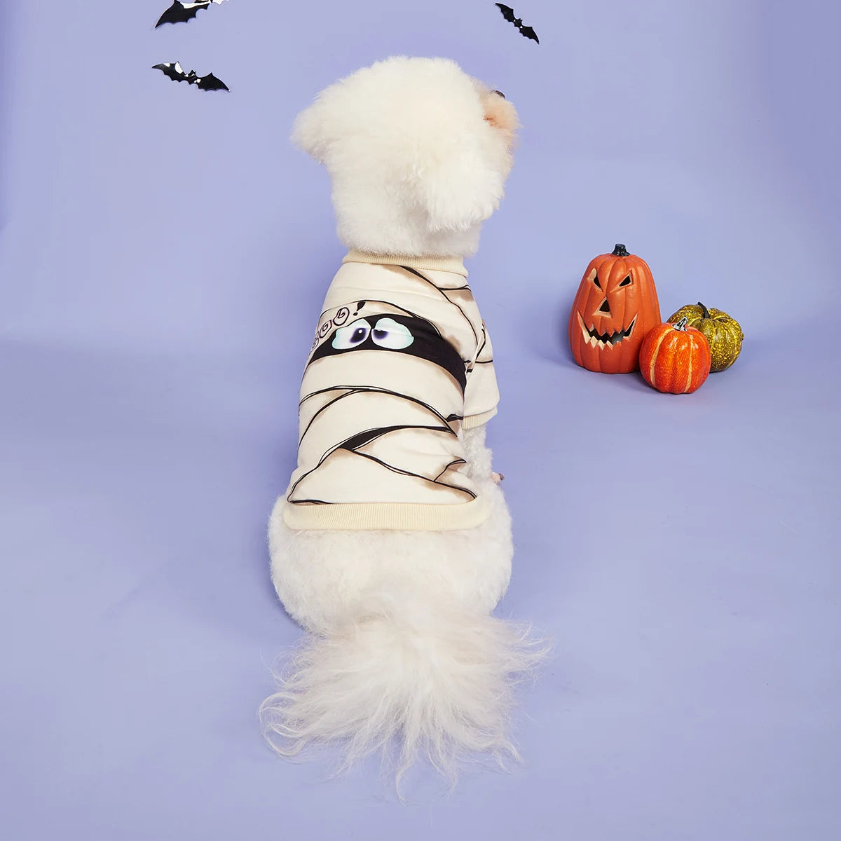 ‘Boo!’ Mummy Halloween Pet Shirt | Funny Dog & Cat T-Shirt UK