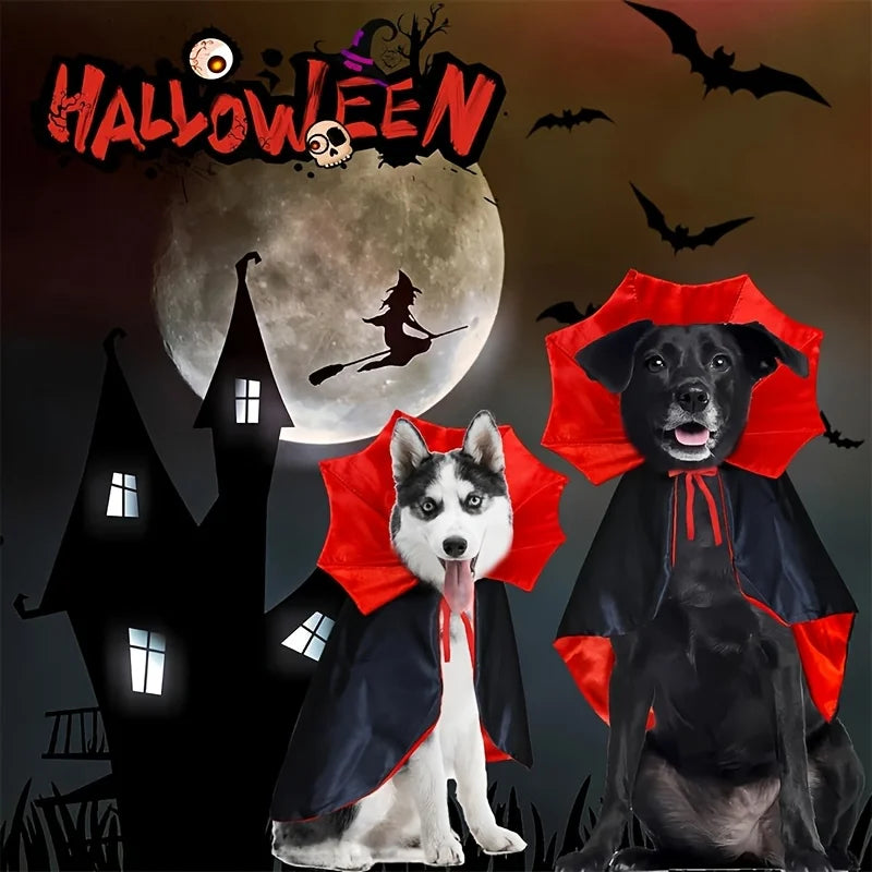 Vampire Pet Cape | Halloween Costume for Dogs & Cats UK