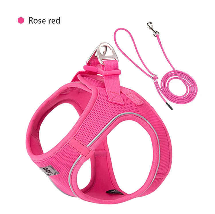 AirMesh+™ Reflective Dog Harness & Leash Set | Adjustable, Breathable, No-Pull Vest for Small & Medium Pets