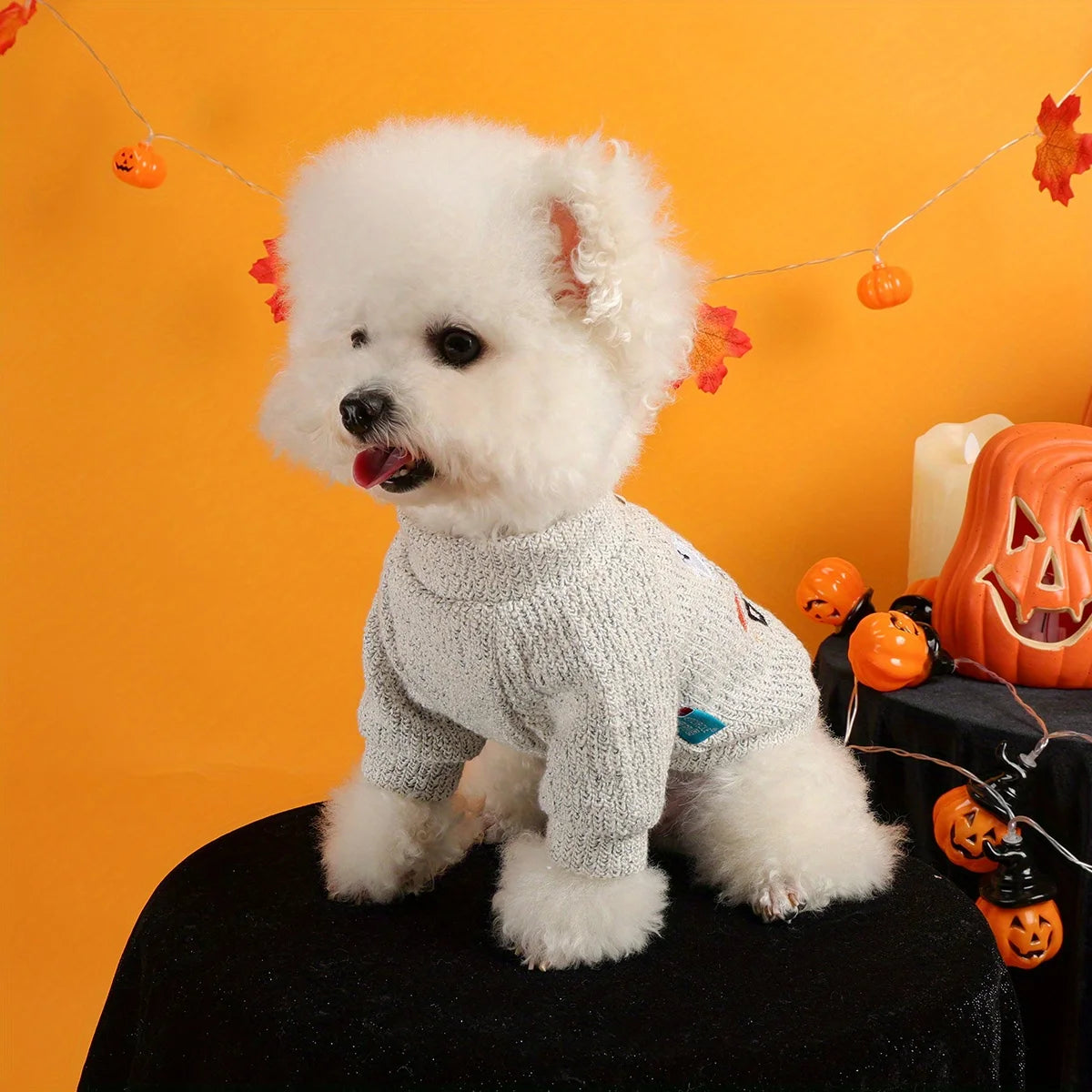 ‘Boo Babe’ Halloween Dog Jumper | Cosy Knitted Pet Sweater UK