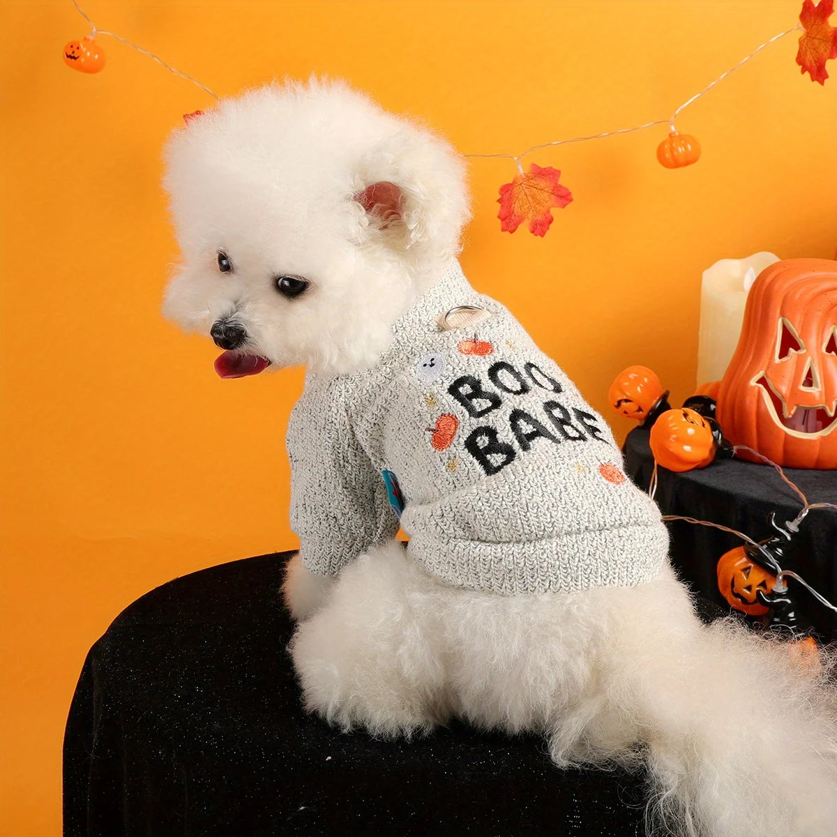 ‘Boo Babe’ Halloween Dog Jumper | Cosy Knitted Pet Sweater UK