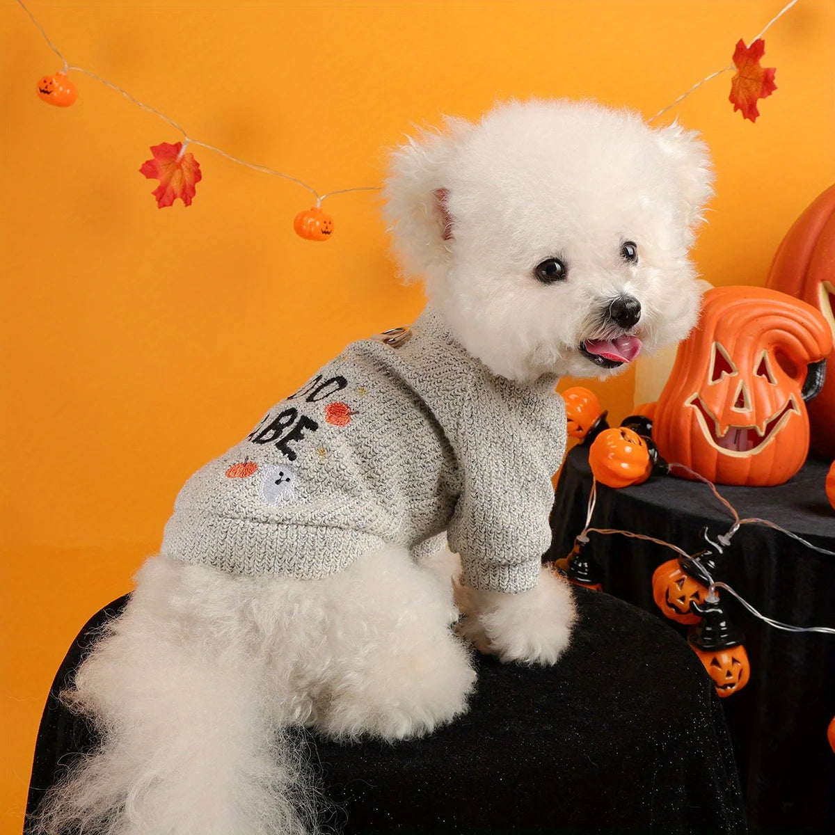 ‘Boo Babe’ Halloween Dog Jumper | Cosy Knitted Pet Sweater UK