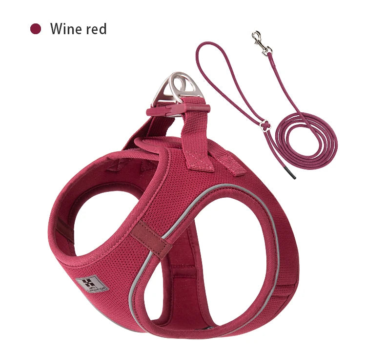 AirMesh+™ Reflective Dog Harness & Leash Set | Adjustable, Breathable, No-Pull Vest for Small & Medium Pets