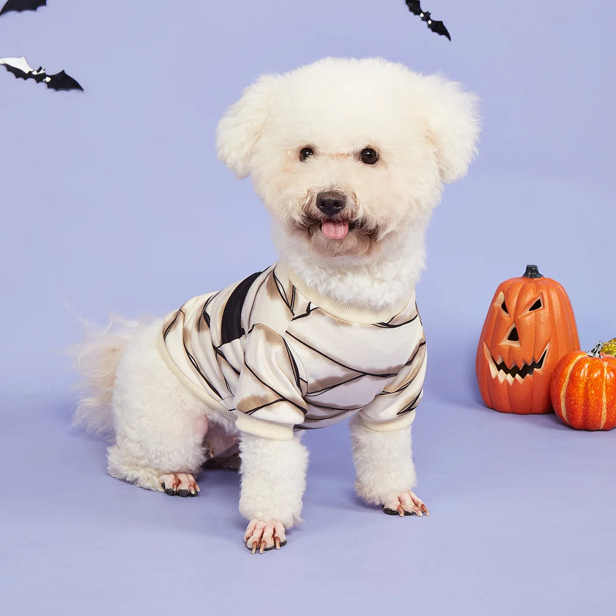 ‘Boo!’ Mummy Halloween Pet Shirt | Funny Dog & Cat T-Shirt UK