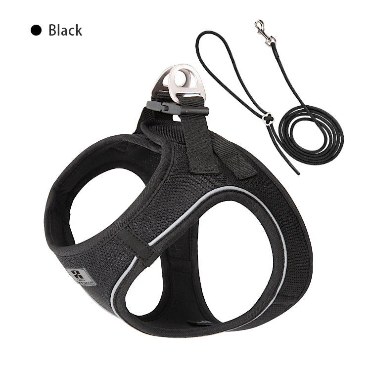 AirMesh+™ Reflective Dog Harness & Leash Set | Adjustable, Breathable, No-Pull Vest for Small & Medium Pets