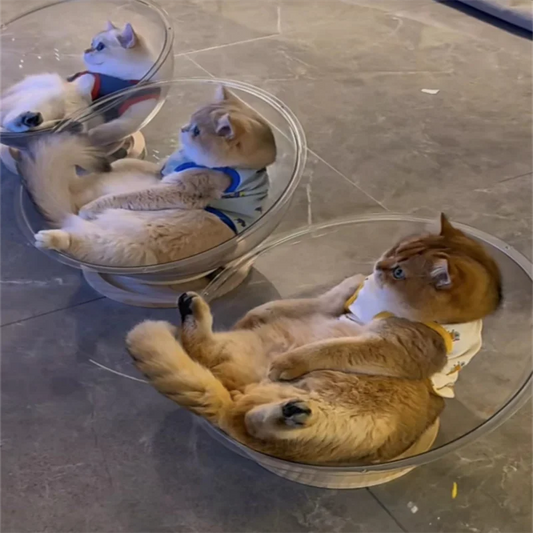 Space Capsule Cat Bed | Modern Clear Cat Hammock pod for all seasons